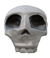 a 3d model of a skull with a very small face