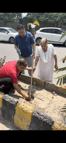 a man in a red shirt is planting a tree in the sand