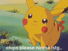 a pikachu with the words chips please ninma istg on the bottom