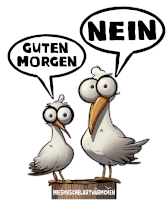 two seagulls are standing next to each other and one says nein