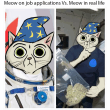 a picture of a cat wearing a wizard hat next to a picture of a cat holding marijuana