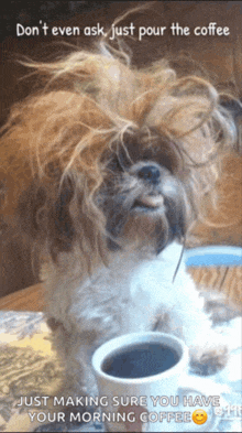 a dog sitting next to a cup of coffee with the words " don t even ask just pour the coffee "