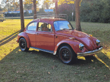 a red beetle is parked in a grassy area