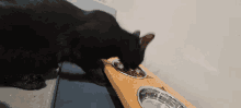 a black cat eating from a wooden bowl