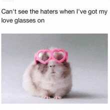 a guinea pig wearing heart shaped glasses on its face .