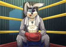 a rabbit wearing boxing gloves is sitting in a boxing ring .