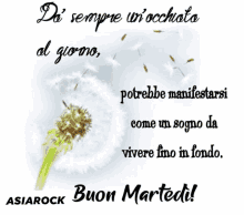 a dandelion blowing in the wind with the words buon martedi written below it