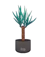 a drawing of a tree in a black pot with the word feey on the bottom