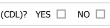 a white box with the words yes and no in it