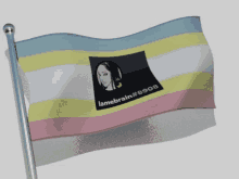 a flag with a picture of a woman and the words " lamebrain # 8908 " on it