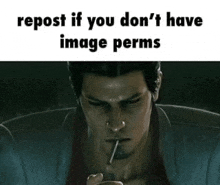 a man is smoking a cigarette in a meme that says `` repost if you don 't have image perms '' .