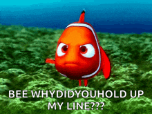 a clown fish says " bee why did you hold up my line?? "