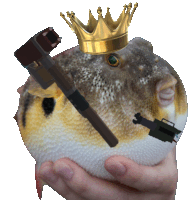 a fish with a crown on its head is being held by a person