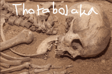 a skeleton is laying in the dirt and the word thatabolaka is written in white