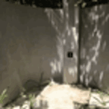 a shadow of a tree is cast on a wall in a room with a walkway leading to it .