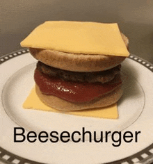 a hamburger with cheese and ketchup on a plate with the word beesechurger written on it