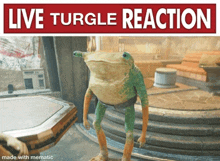 a picture of a frog with the words live turgle reaction made with mematic