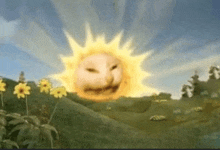 a cartoon sun with a face on it is flying through the air in a field of flowers .