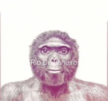 a drawing of a monkey with a beard on a white background