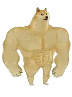 a doge with a very muscular body is standing on its hind legs