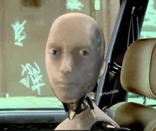 a mannequin head is sitting in a car with hoodville written on the side of it