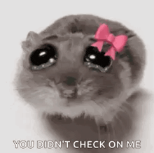 a sad hamster with a pink bow on its head .