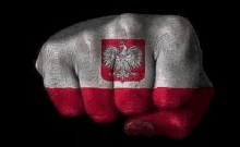 a fist with the flag of polish painted on it .