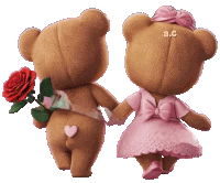 a couple of teddy bears holding hands with one bear holding a red rose