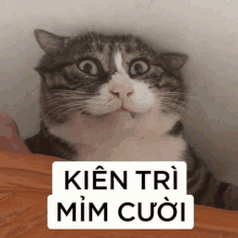 a cat with a sign that says kien tri mim cuoi on it