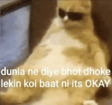 a cat wearing sunglasses is sitting on a couch with a caption that says dunia ne diye bhot dhoke