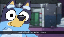 a blue and yellow cartoon dog with the words just killed xqc #doggoals