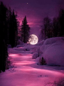 a full moon is shining over a snowy forest