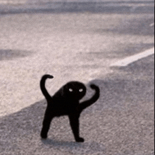 a black cat is standing on the side of the road .