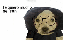 a dog wearing glasses and a black shirt with the words te quiero mucho sei san