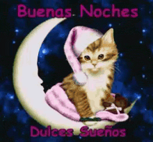 a cat is sitting on a crescent moon with the words buenas noches dulces suenos written below it