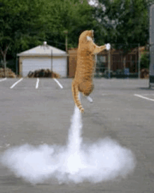 a cat is flying through the air with a rocket tail