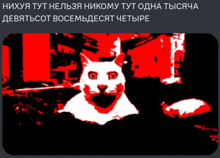 a black and red image of a cat with a caption that says " нихуа тут нельзя никому тут одна тысяча