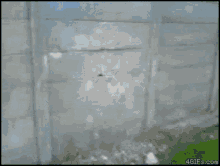 a gif of a person kicking against a wall with the website 4gifs.com at the bottom of the screen