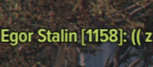 the name egor stalin is on a green background