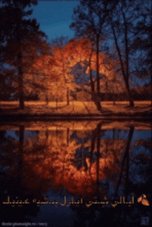 a reflection of trees in a body of water