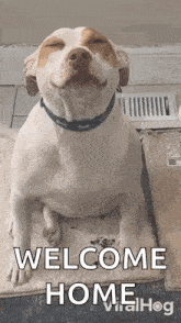 a white and brown dog is sitting on a rug with its eyes closed and a welcome home message .