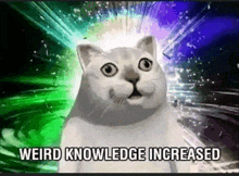 a cartoon cat with the words weird knowledge increased written on it