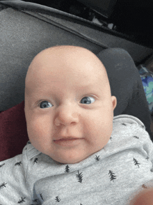 a baby wearing a grey shirt with trees on it looks at the camera