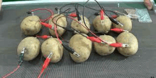 a bunch of potatoes with wires attached to them are on a table .