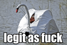 a man dressed as a swan is in the water and the caption says legit as fuck