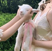 a woman in a white dress is petting a small white goat with a pink ribbon around its neck