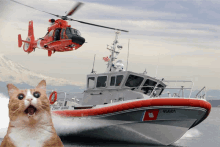 a cat stands in front of a boat that says coast guard