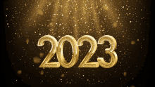 the year 2023 is written in gold on a dark background