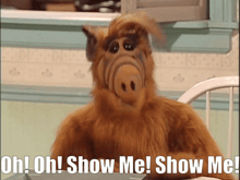 a stuffed animal with the words oh oh show me show me on it