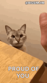 a cat is sitting on a wooden table and looking at a person 's foot .